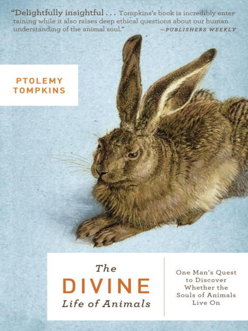 Cover image for The Divine Life of Animals